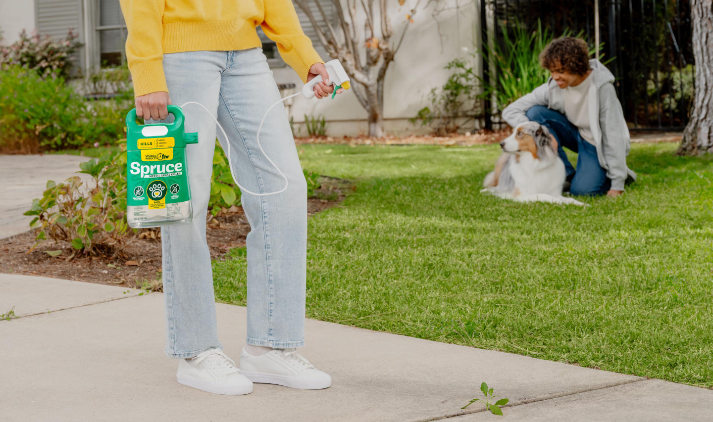 Spruce Weed & Grass Killer being used outside